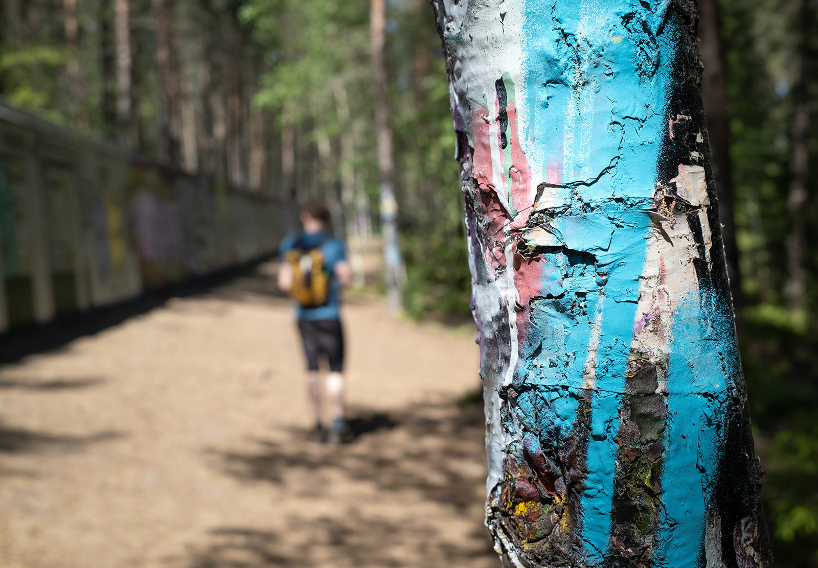 Spraypaint on tree