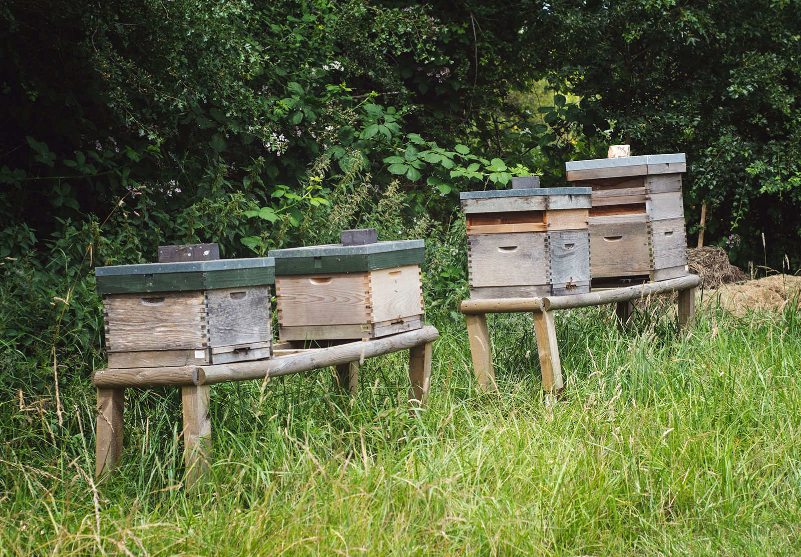 Wooden beehives