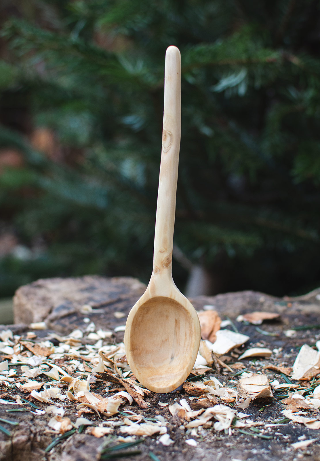 Spoon standing up