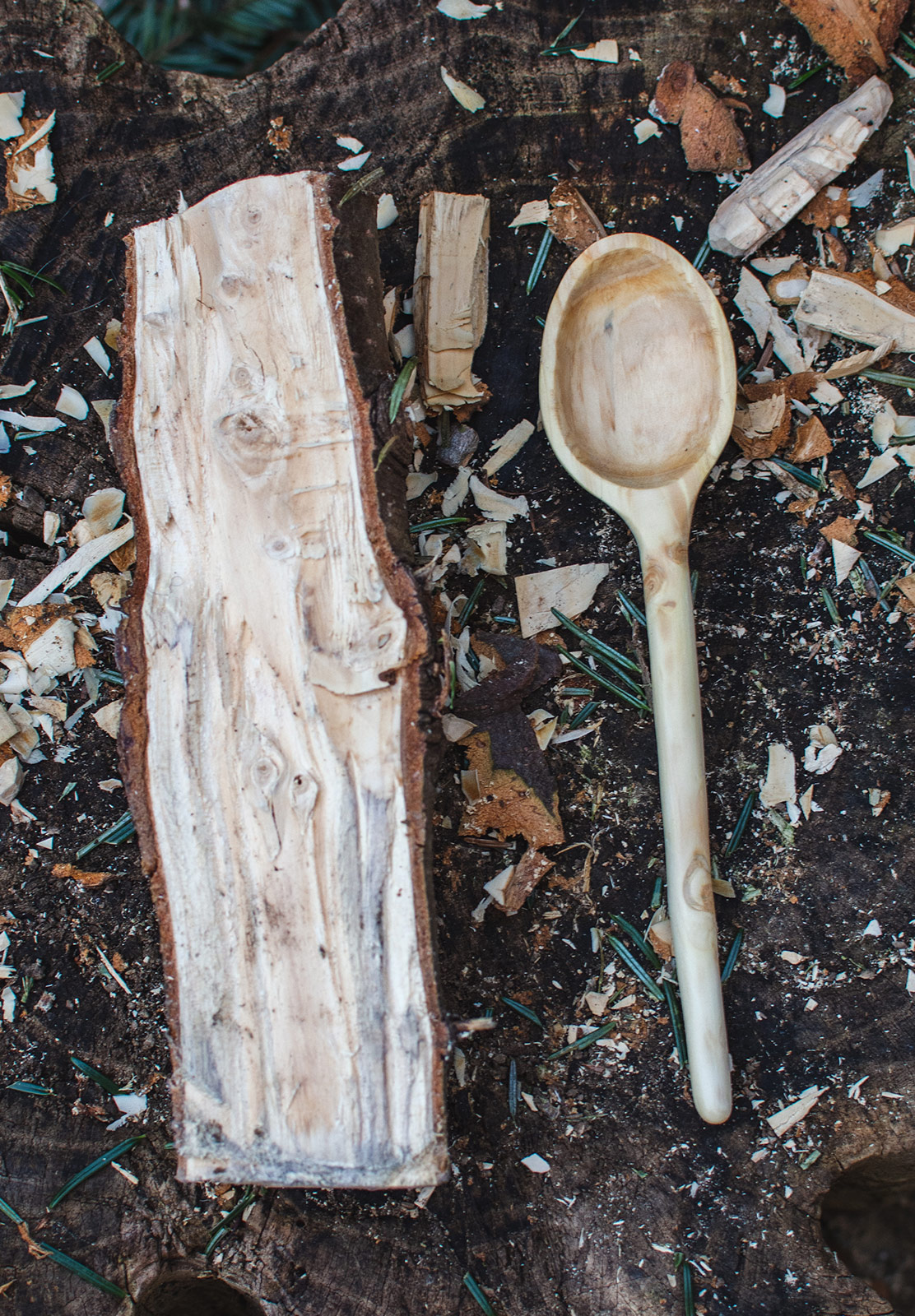 Carved spoon next to log