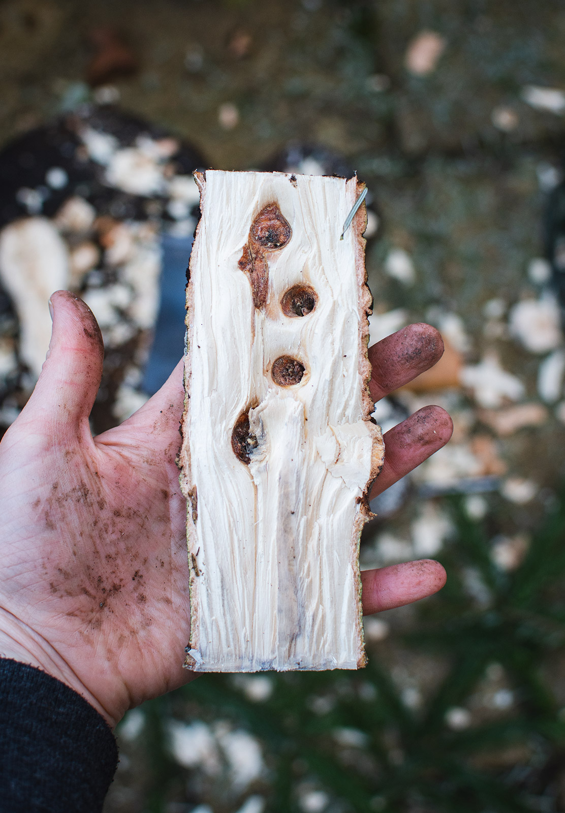 Knotted wood in hand