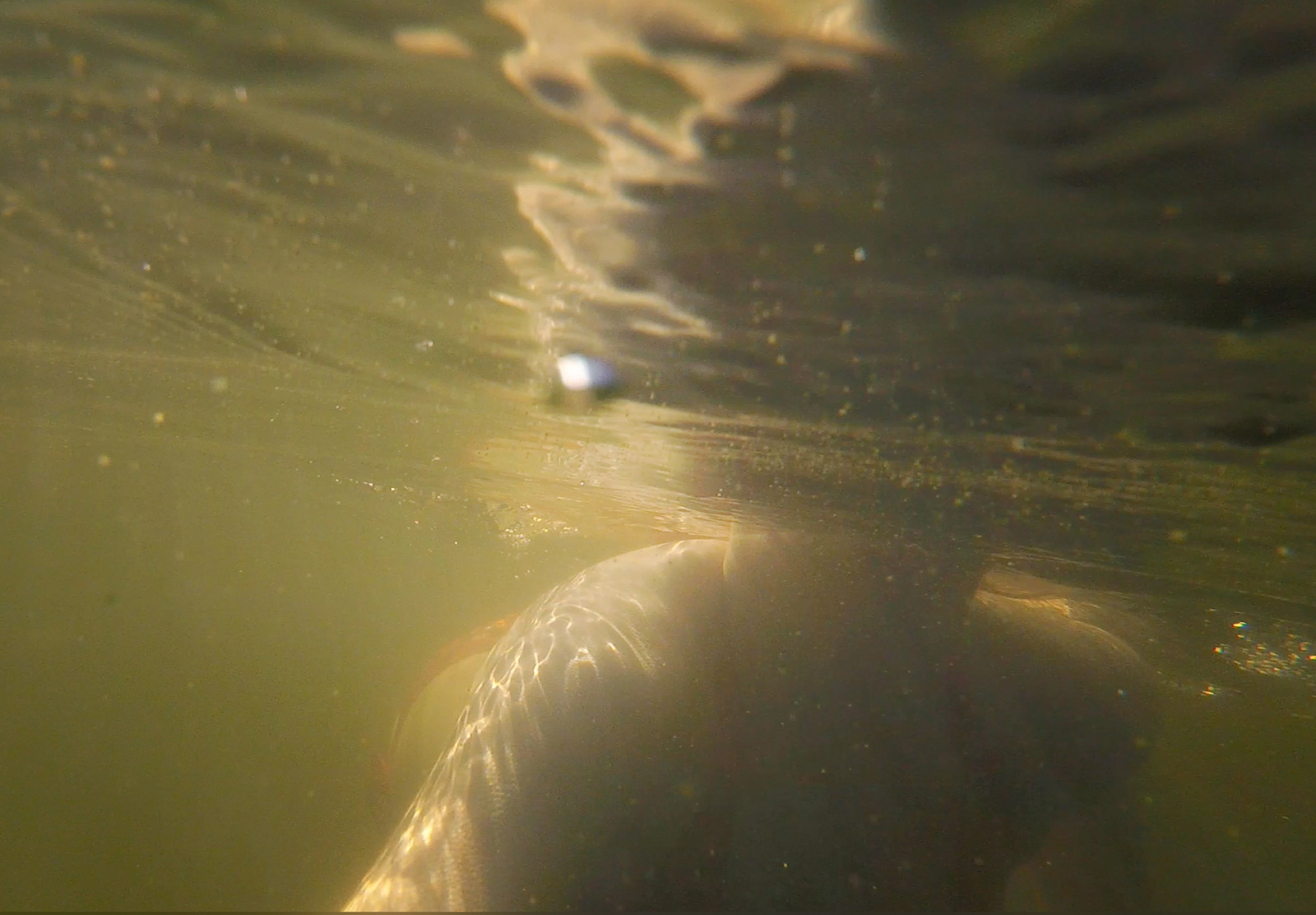 Under water view