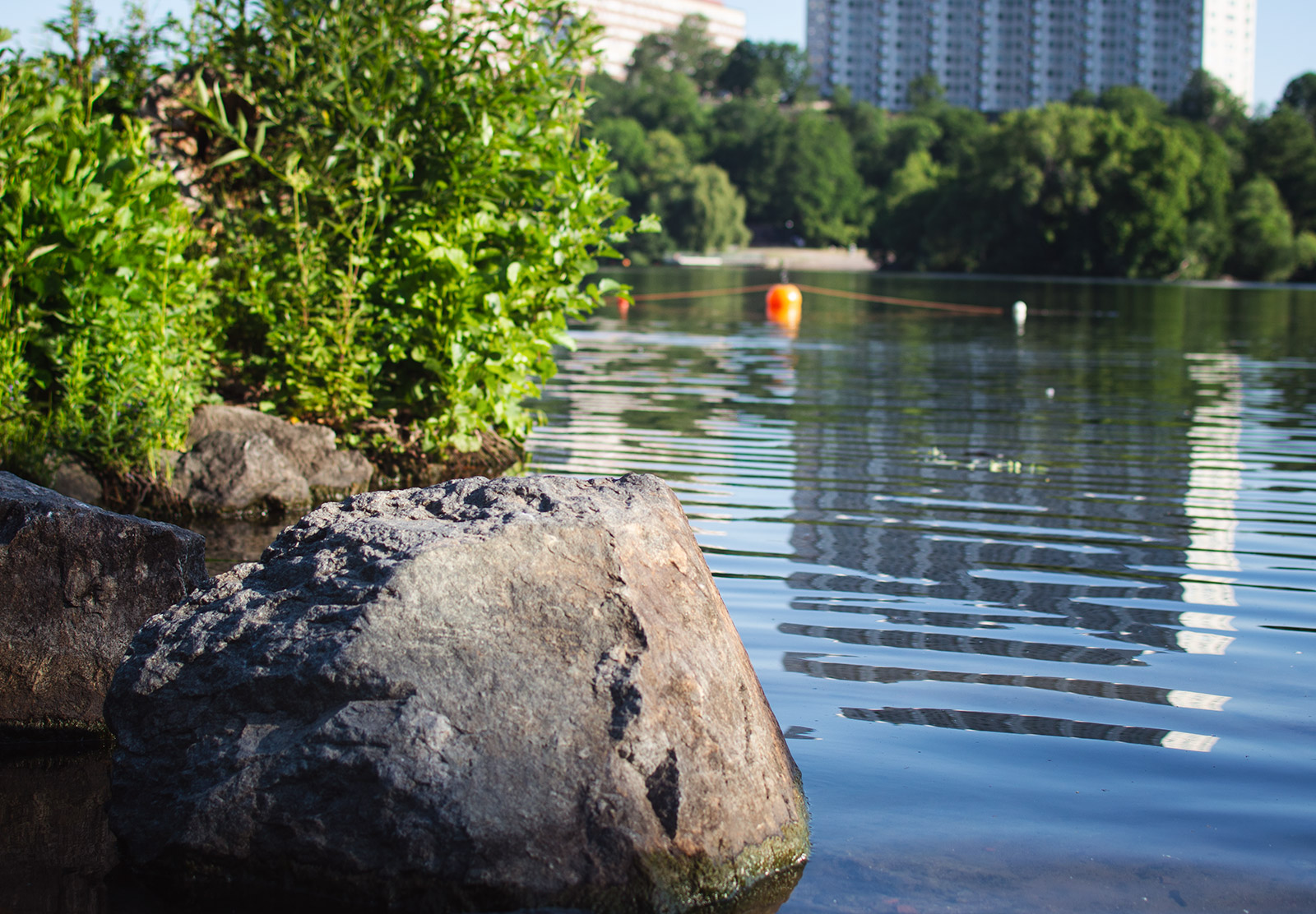Rock on water