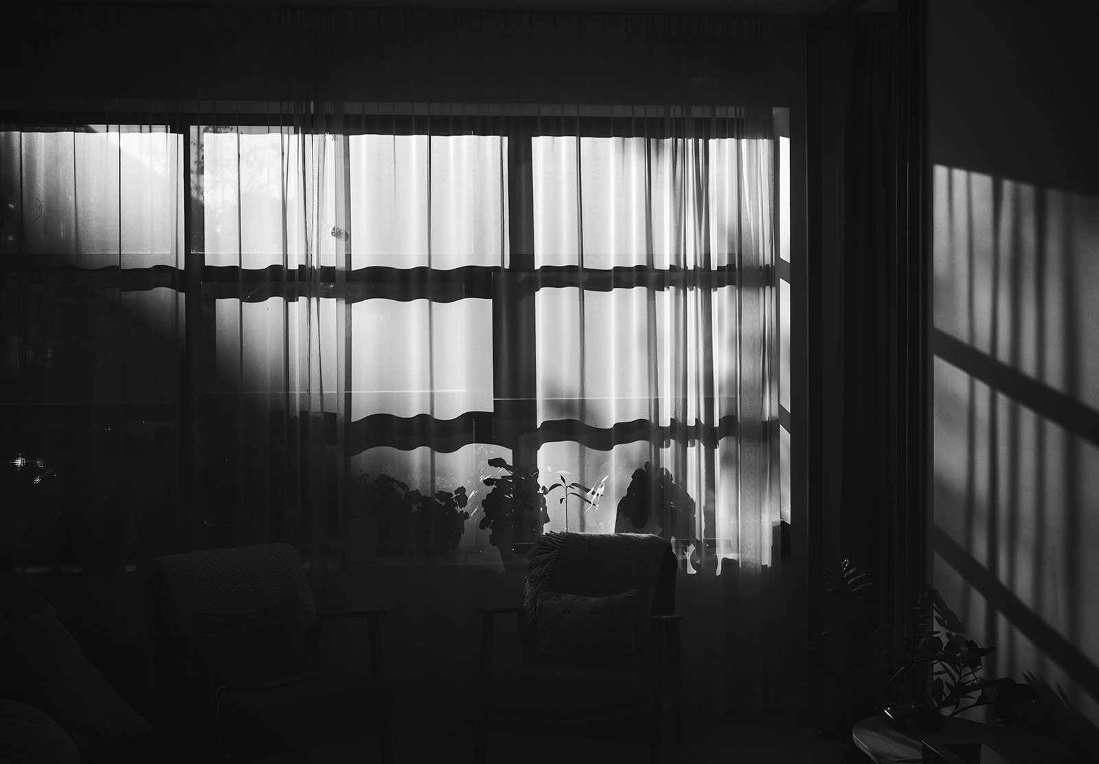 Window silhouette