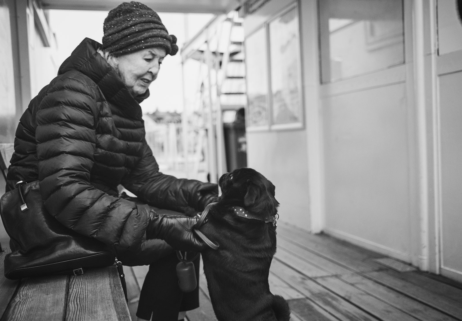 Dog standing to reach woman