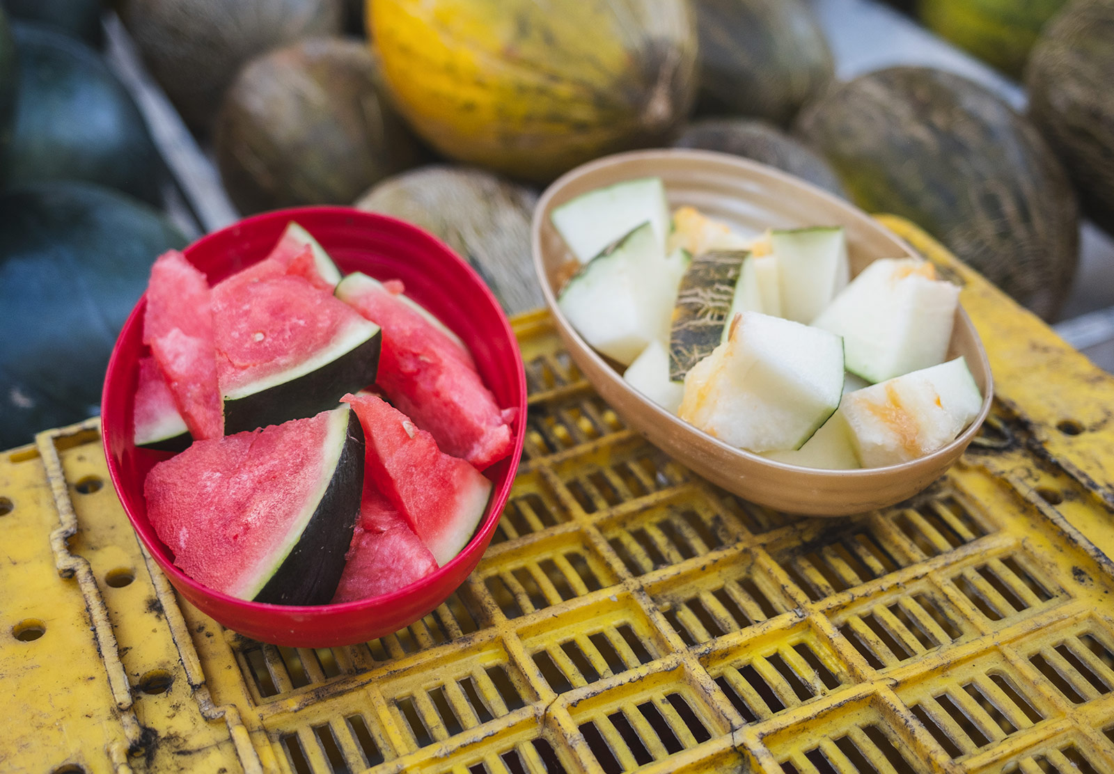 Cut samples of melon