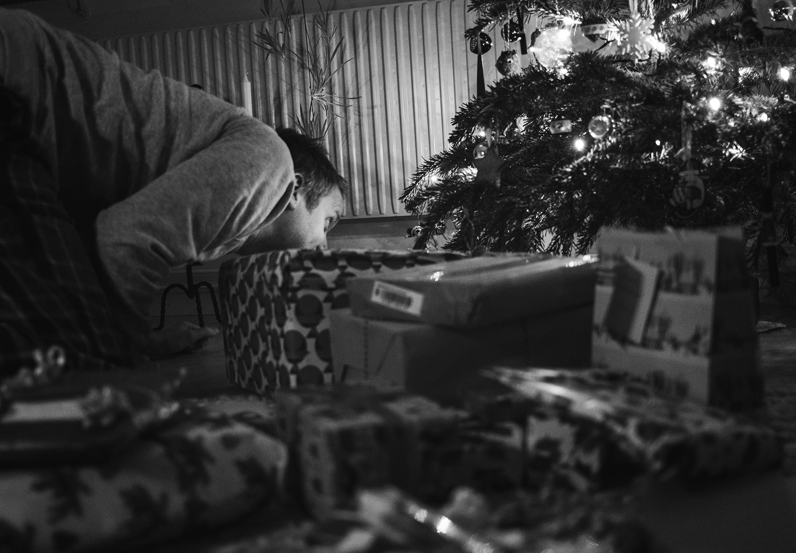 Man peering under Christmas tree