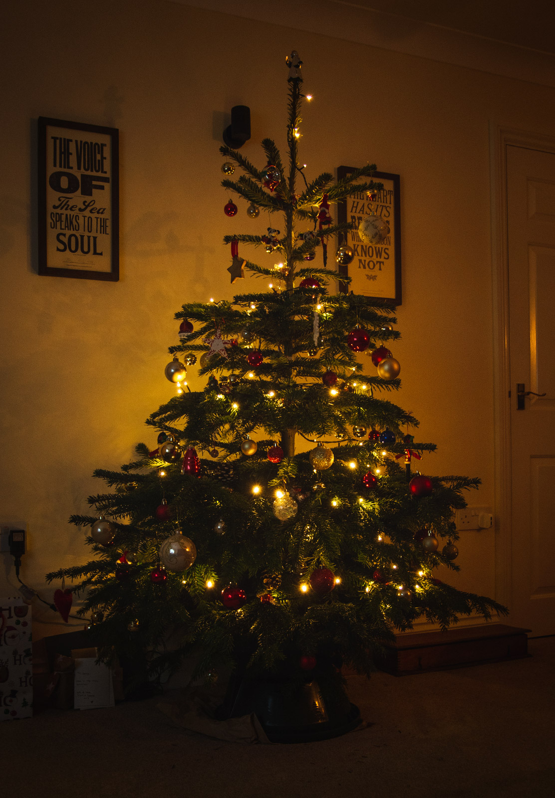 Christmas tree with lights