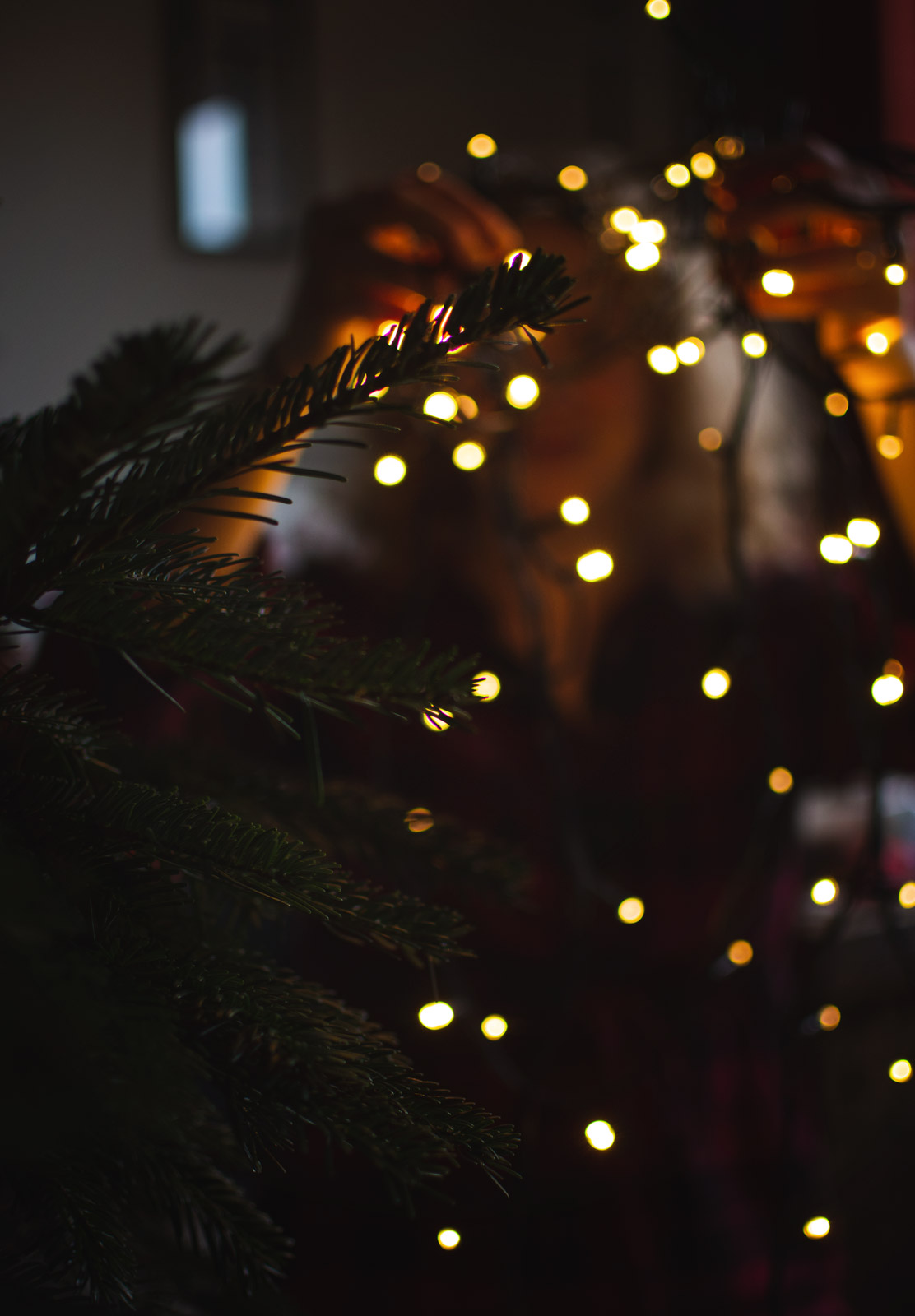 Christmas tree lights