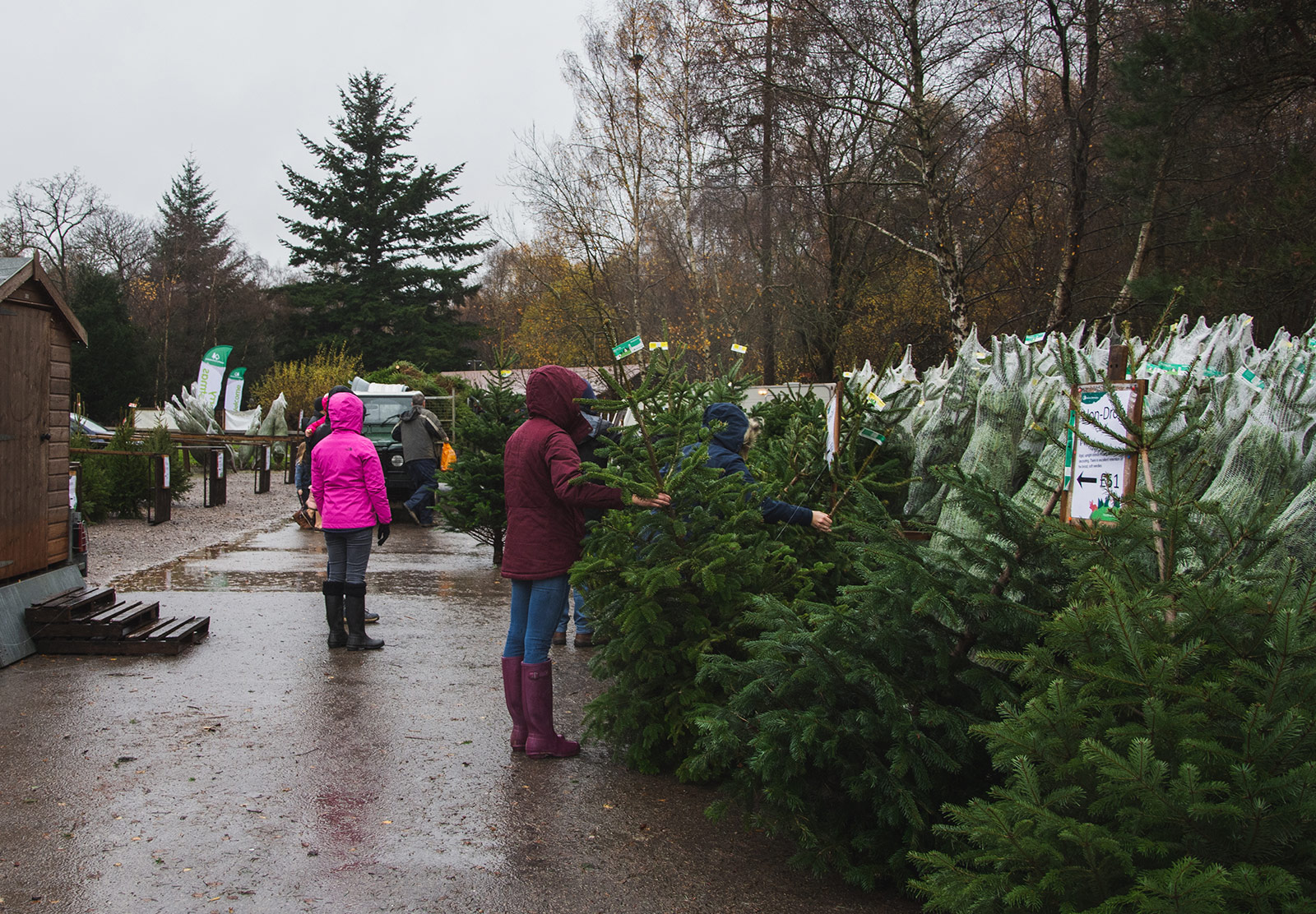 Christmas tree shop
