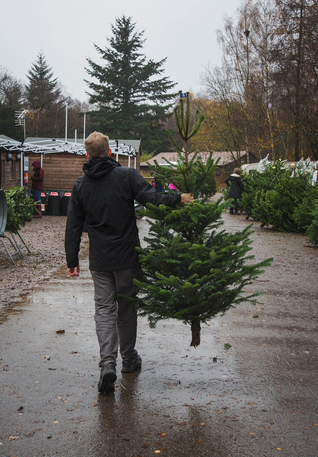 Man carrying tree