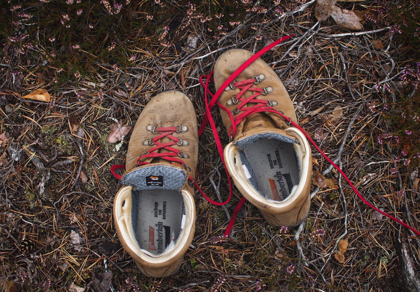 Brown hiking boots