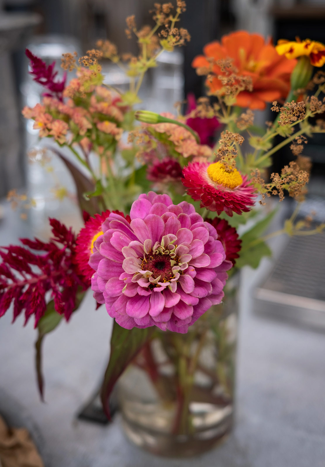 Pink flowers in jar