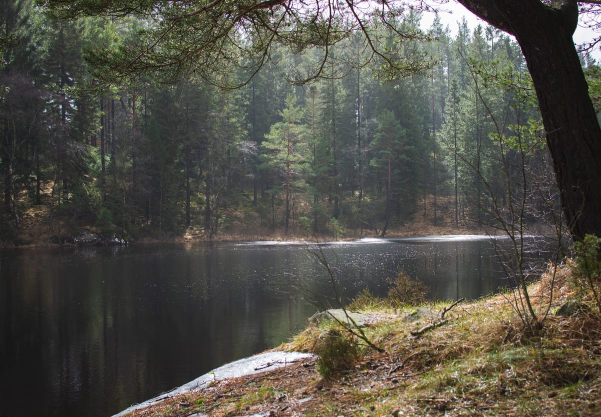 Light on lake