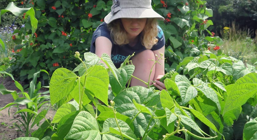 Me picking beans