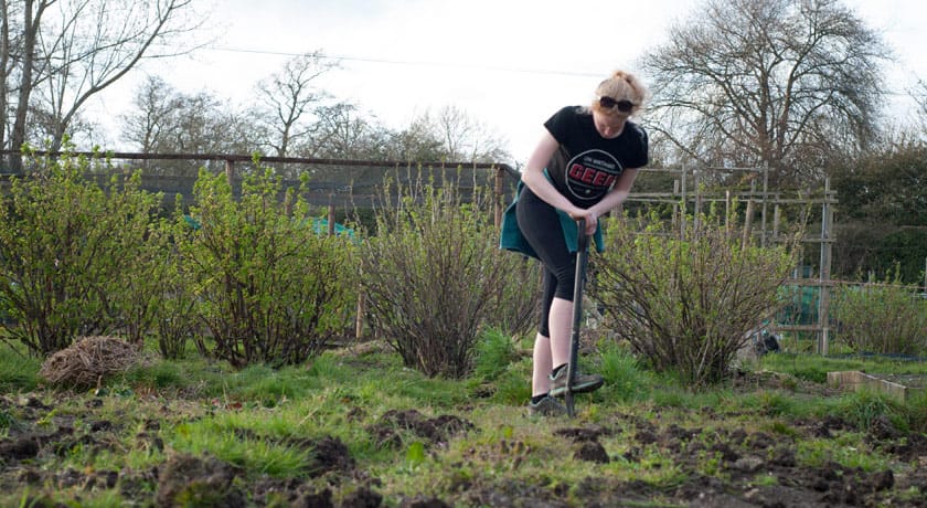 Digging an overgrown allotment plot