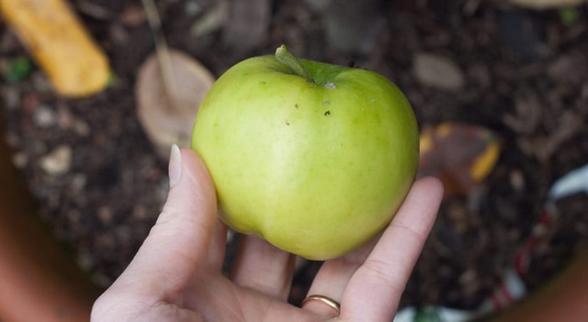 Green apple