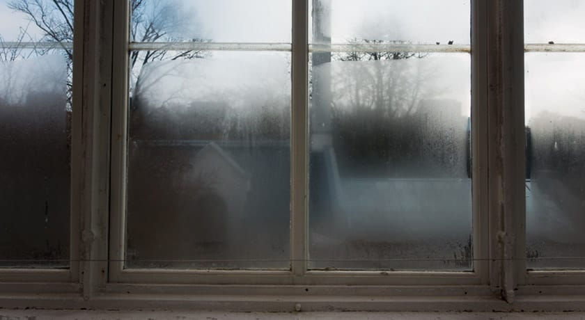 Steamy glasshouse windows