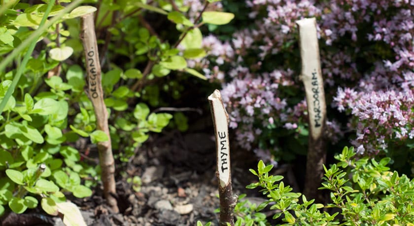 Wooden plant markers