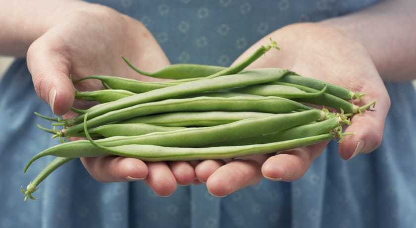 Handful of green beans