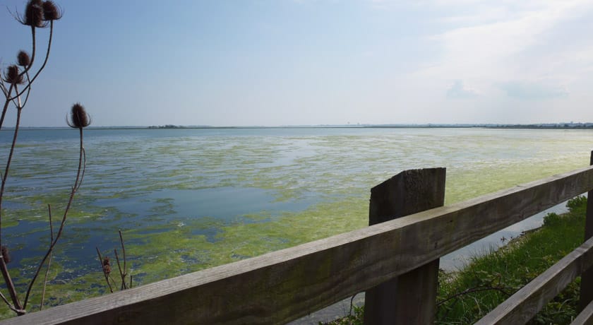 Portsmouth coastline