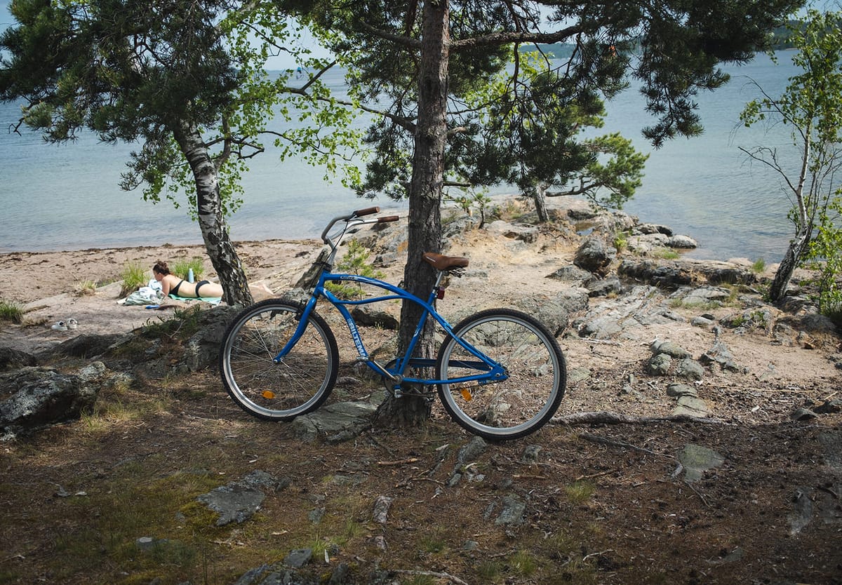 Bike resting on tree