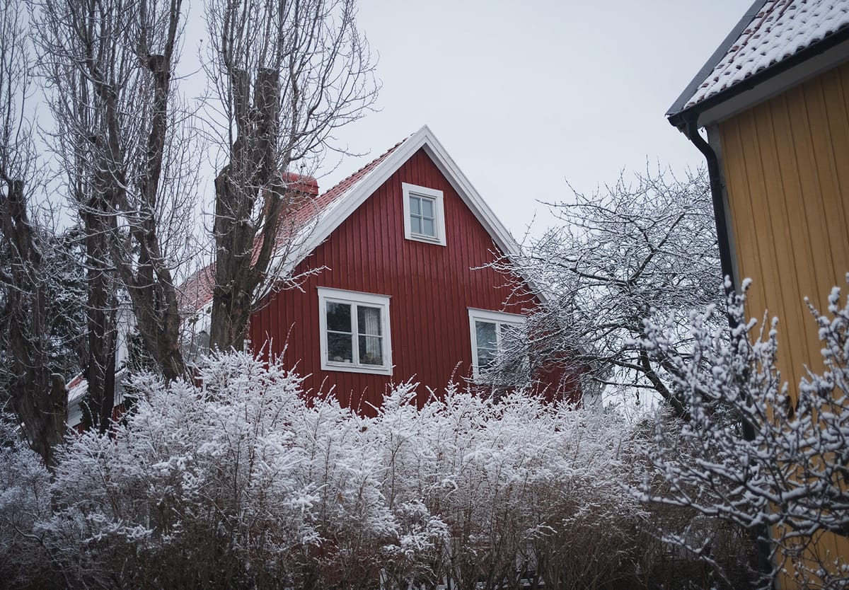 Wooden house surrounded by snowy trees