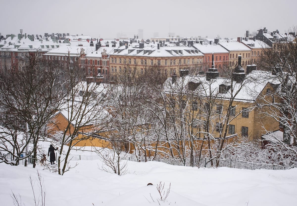 Snow covered rooftops
