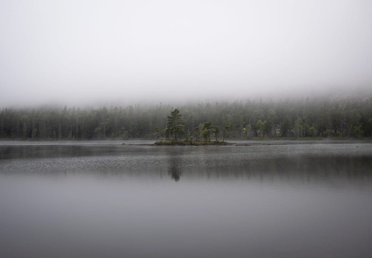 Fog over lake