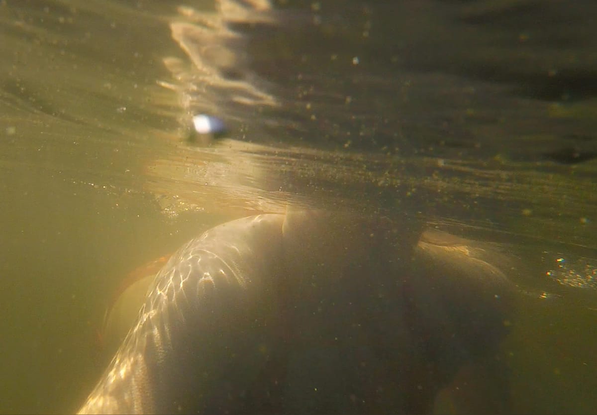 Under water view