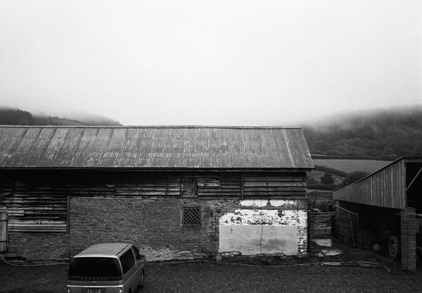 Wooden outbuilding