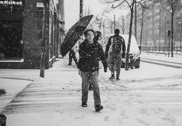 Boy carrying umbrella in the snow