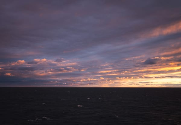 Pink and purple clouds
