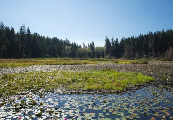 View over lake