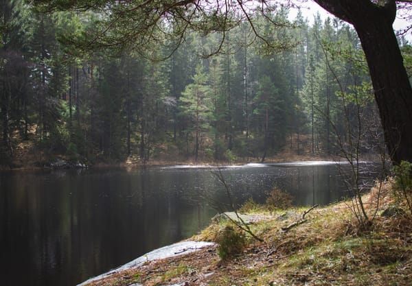Light on lake