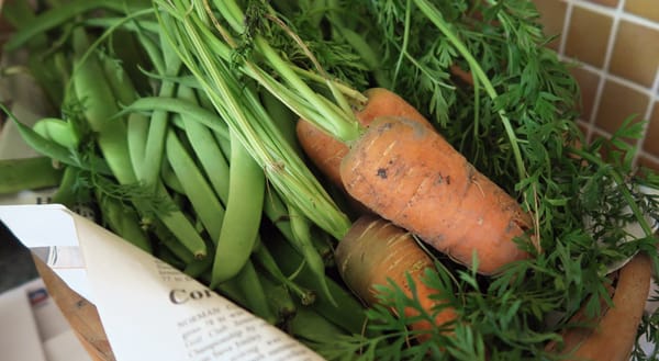 Allotment produce