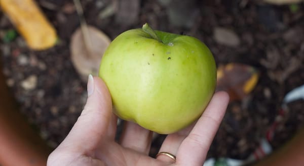 Green apple