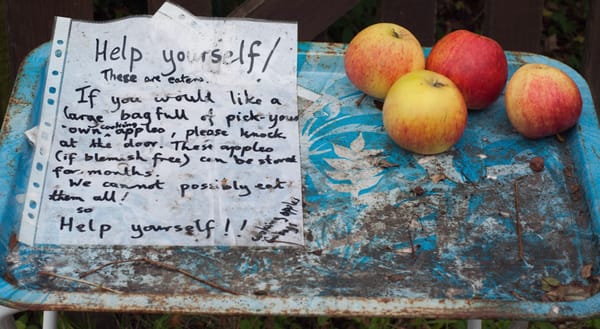 Tray of free apples