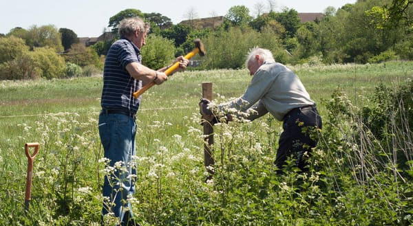 Hammering fence posts