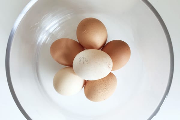 Bowl of eggs