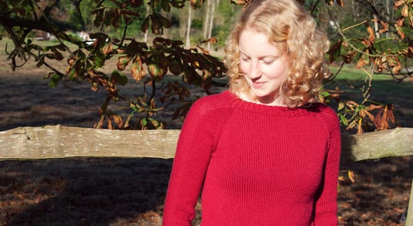 Red Flax Pullover
