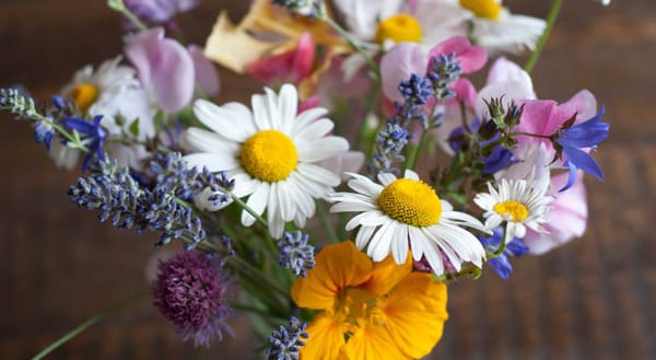 Garden flowers in jar