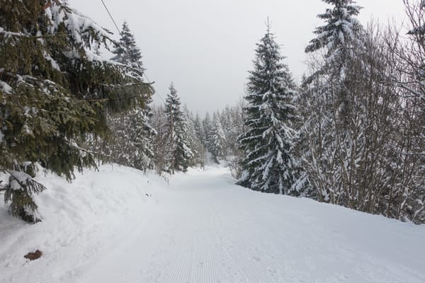Snow covered hiking track
