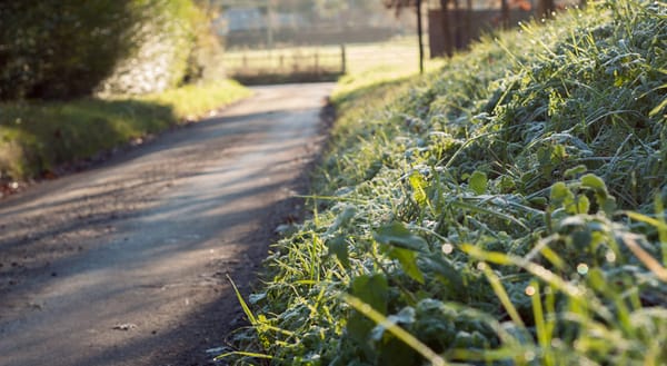 Frosty country lane