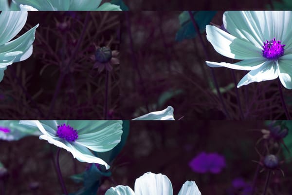 Fragmented flowers