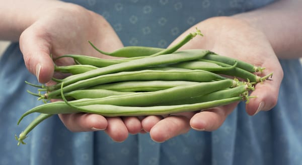 Handful of green beans