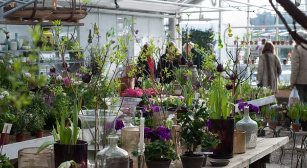 Rosendals Tradgard