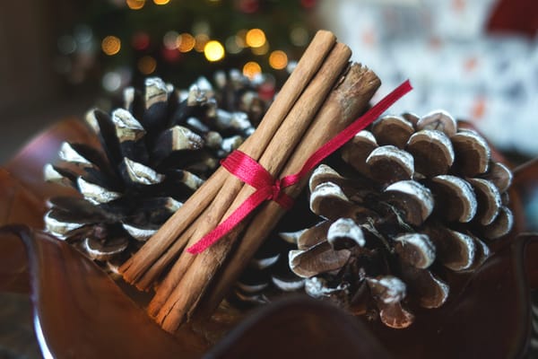 Pinecones and cinnamon sticks