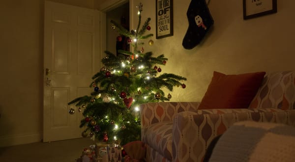 Lit Christmas tree