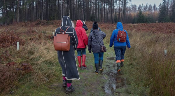 Group of walkers